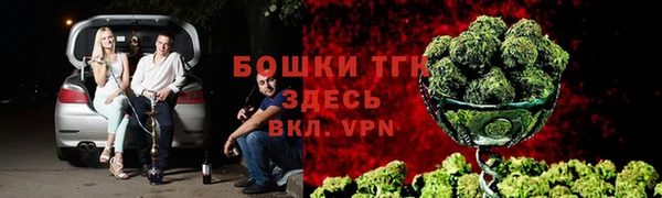 стафф Михайловск