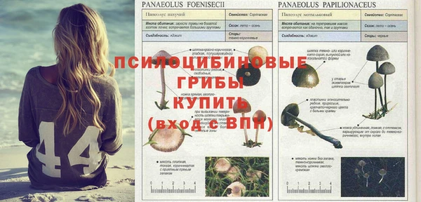 spice Строитель