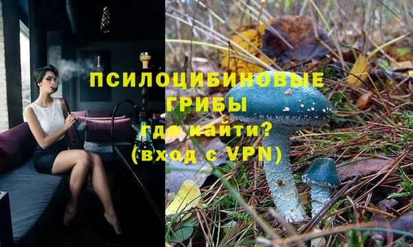 гидра Навашино