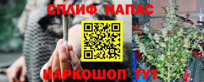 МДПВ Волжск