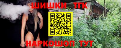 стаф Берёзовский