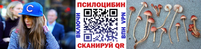 Галлюциногенные грибы Magic Shrooms  Уссурийск 