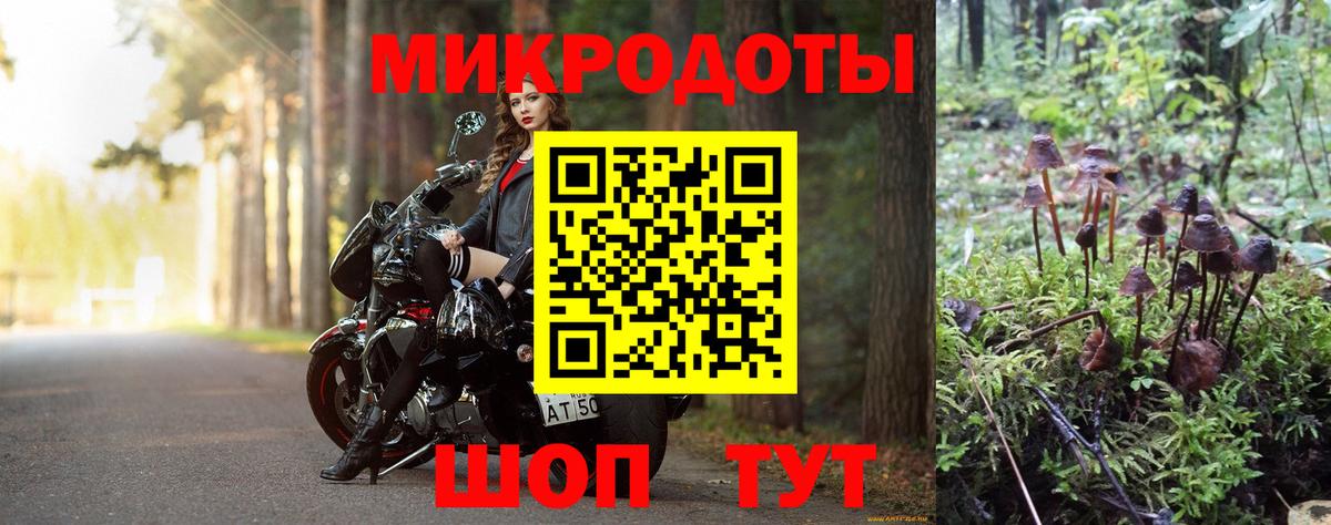 Галлюциногенные грибы Psilocybe  Псилоцибиновые грибы прущие грибы  Уссурийск 